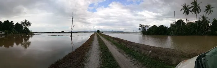 Kebun Keluarga Wan Joh Picture 8