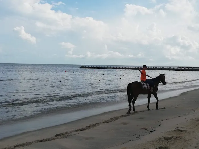 Pantai Kilat / Kilat Beach (viewing area) Picture 8