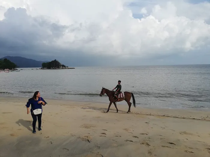 Pantai Kilat / Kilat Beach (viewing area) Picture 7