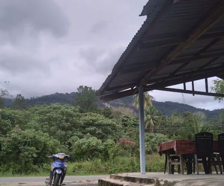 Patin Tempoyak Kak Ni