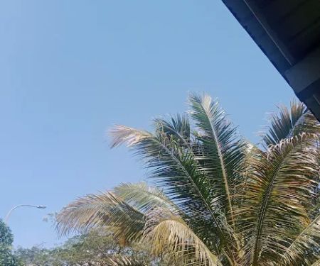 Tempat Lepak