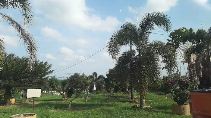 Masjid Felda Panching Timur Picture 8