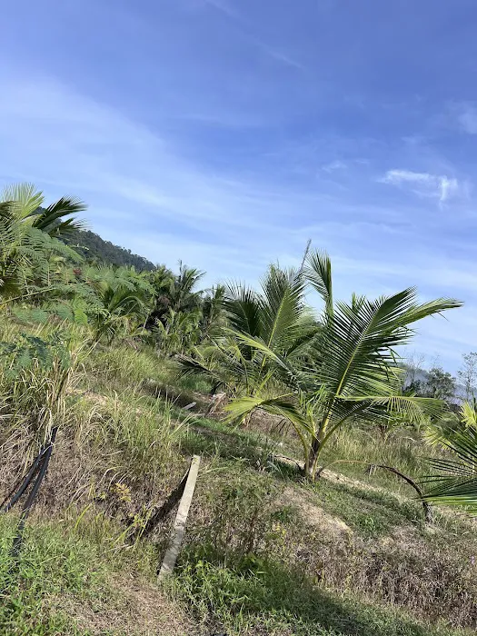 Rimbakali Camping Site Picture 2