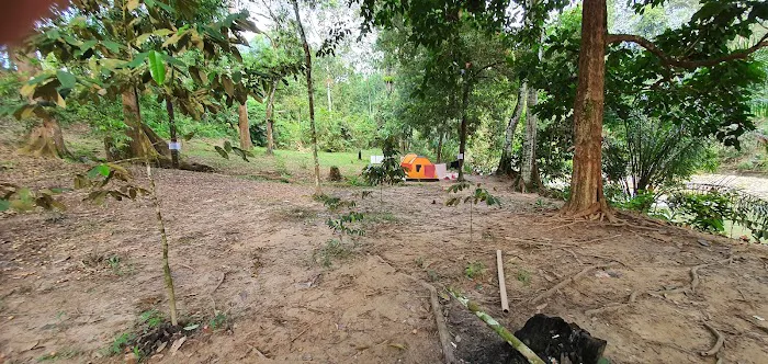 Rimbakali Camping Site Picture 6
