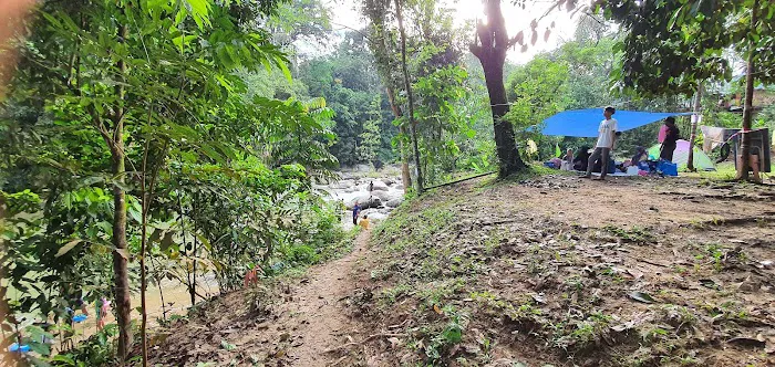 Rimbakali Camping Site Picture 7
