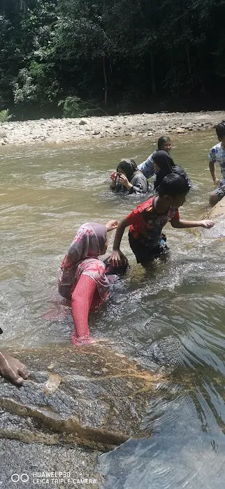 Rimbakali Camping Site Picture 10