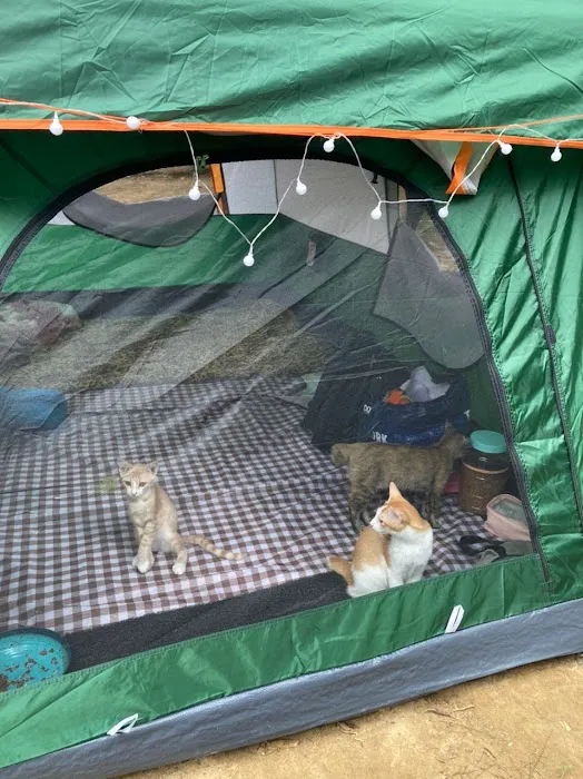 Rosyabillah Caravan & Campsite Picture 10