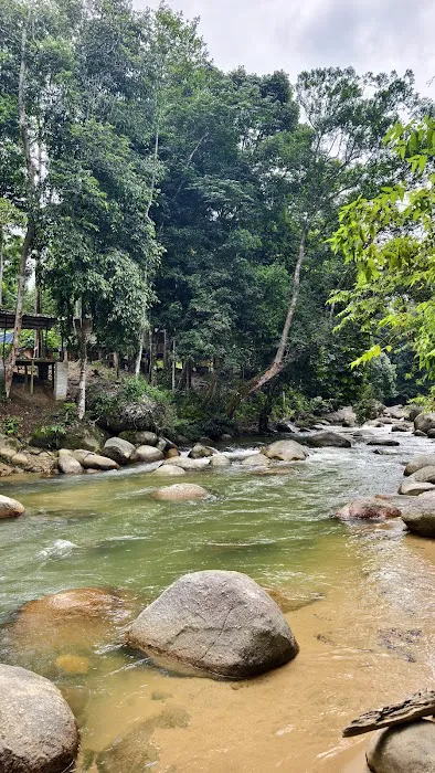 Dangau Kikin Picture 1