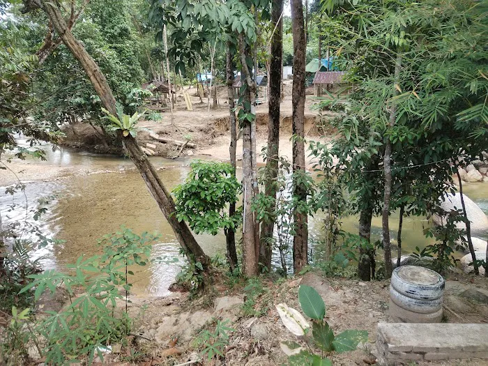 Dangau Kikin Picture 3