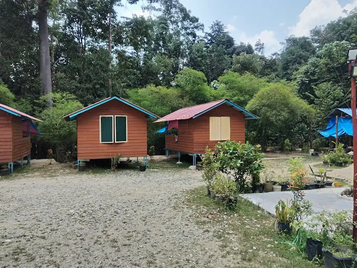 Dangau Kikin Picture 2