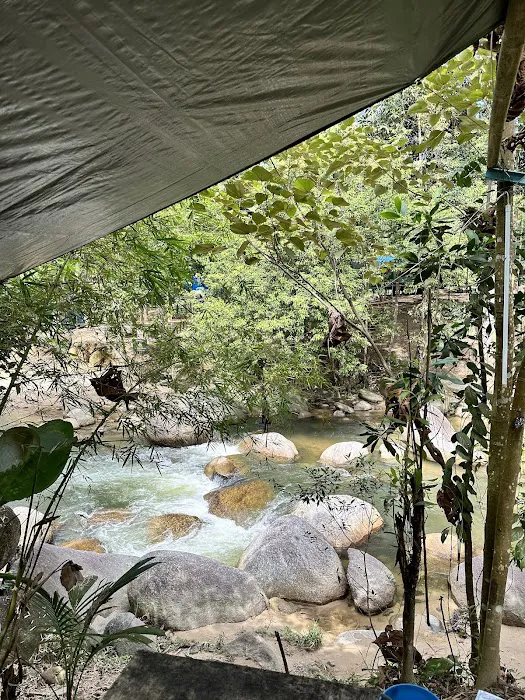 Dangau Kikin Picture 10