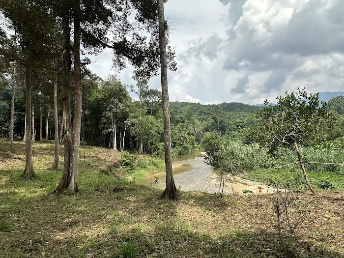 Syhajuaz Campsite Picture 8
