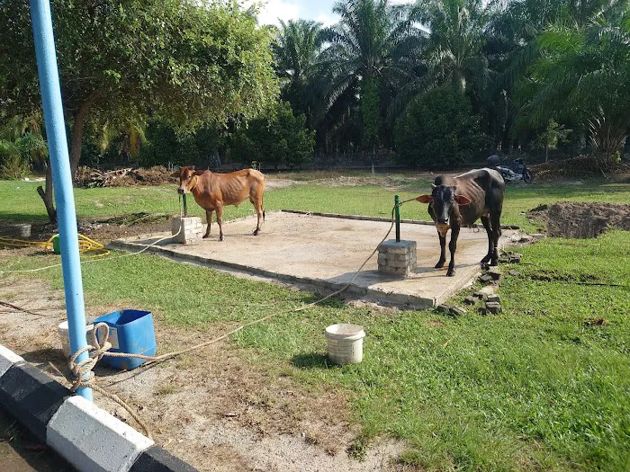 Masjid Al-Hidayah Kampung Chemomoi Picture 10
