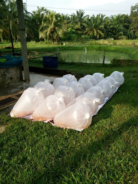 Surau Kampung Chemomoi. Picture 8