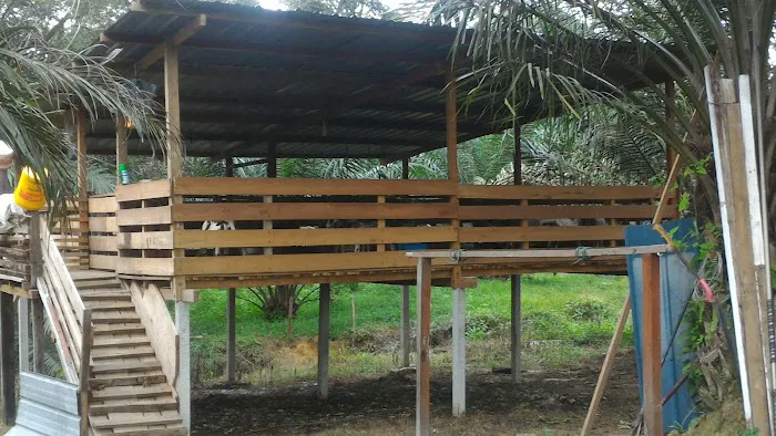 Surau Kampung Chemomoi. Picture 7
