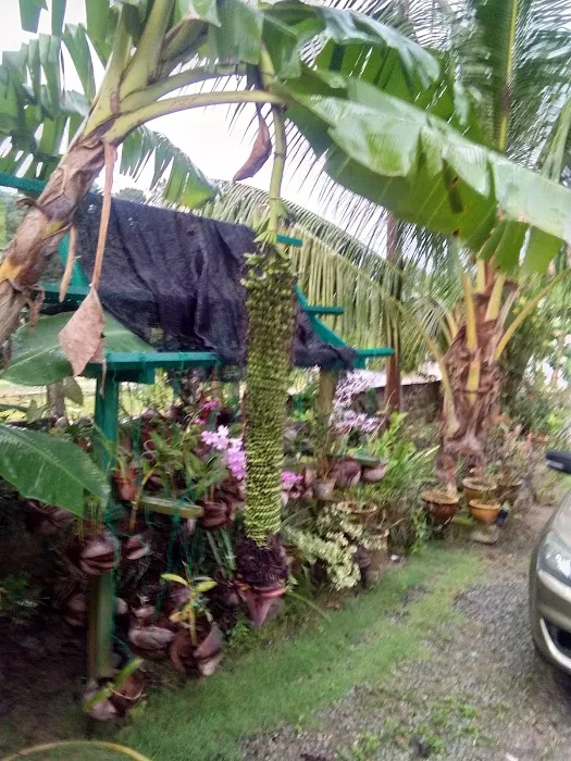 Surau Kampung Chemomoi. Picture 9