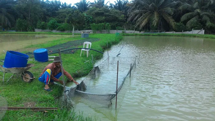 Surau Kampung Chemomoi. Picture 5