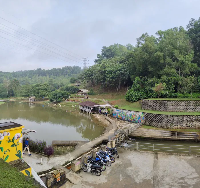 Junction to Bukit Jelutong Eco Community Park Picture 3
