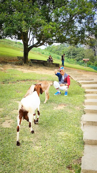 Junction to Bukit Jelutong Eco Community Park Picture 1