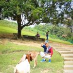 Junction to Bukit Jelutong Eco Community Park