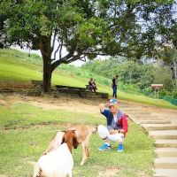 Junction to Bukit Jelutong Eco Community Park ico