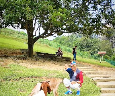 Junction to Bukit Jelutong Eco Community Park