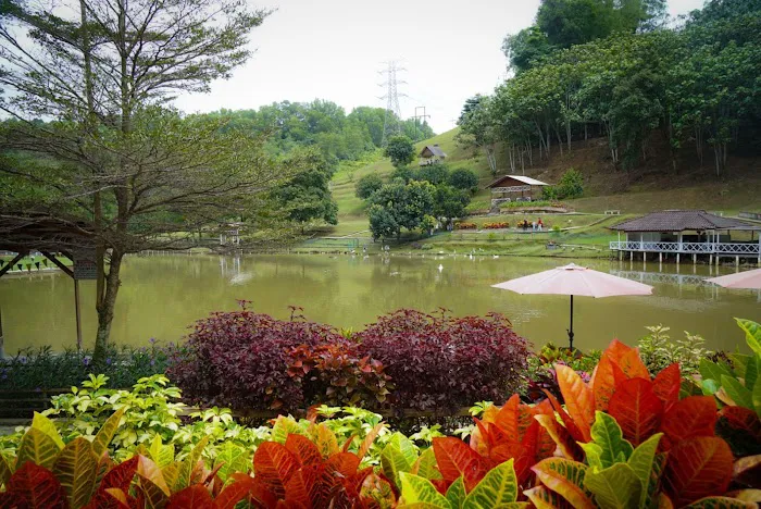 Bukit Jelutong Eco Community Park Picture 1
