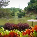 Bukit Jelutong Eco Community Park