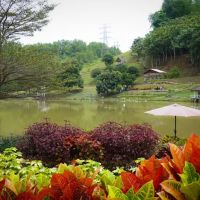 Bukit Jelutong Eco Community Park ico