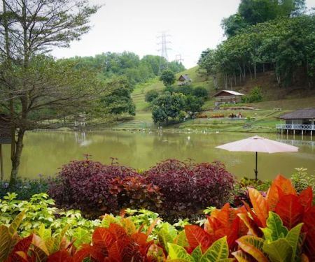 Bukit Jelutong Eco Community Park