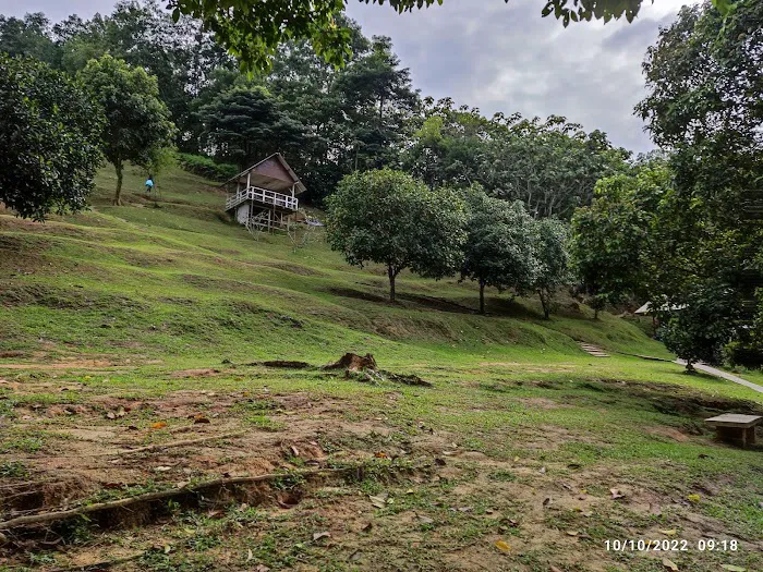 Bukit Jelutong Eco Community Park Picture 5