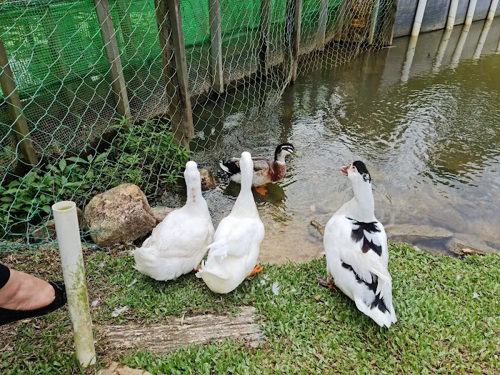 Bukit Jelutong Eco Community Park Picture 7