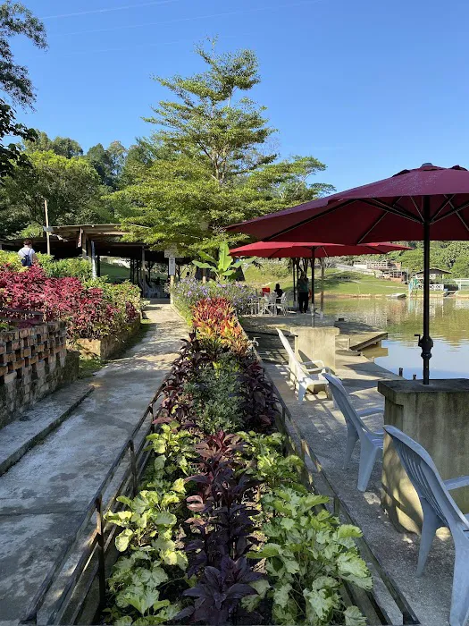 Bukit Jelutong Eco Community Park Picture 8