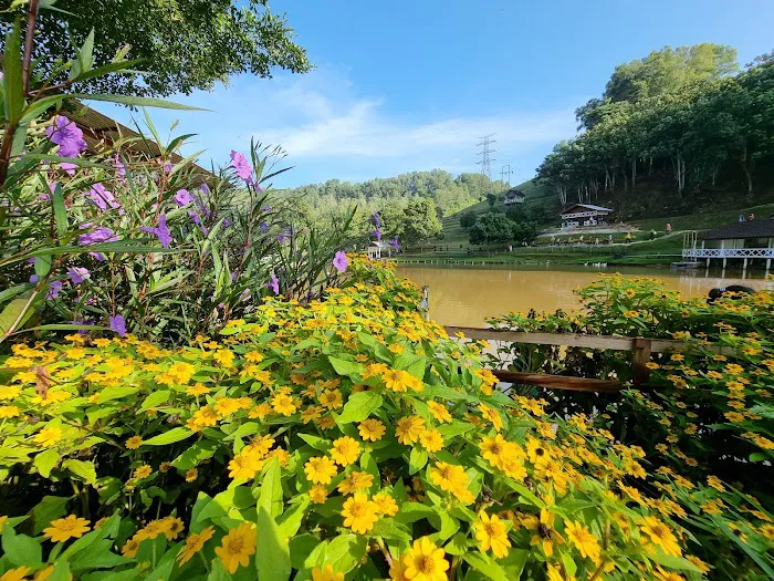 SHAM Lake Bukit Jelutong Picture 3