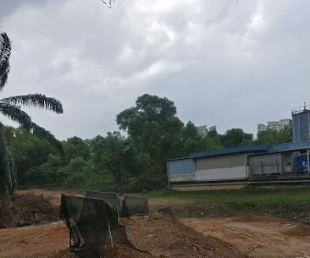 S&S Hijau