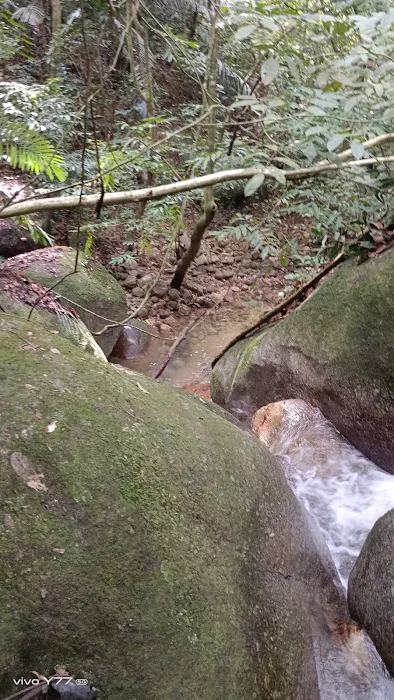 Port Stream Camping Picture 4