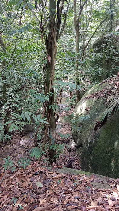 Port Stream Camping Picture 5