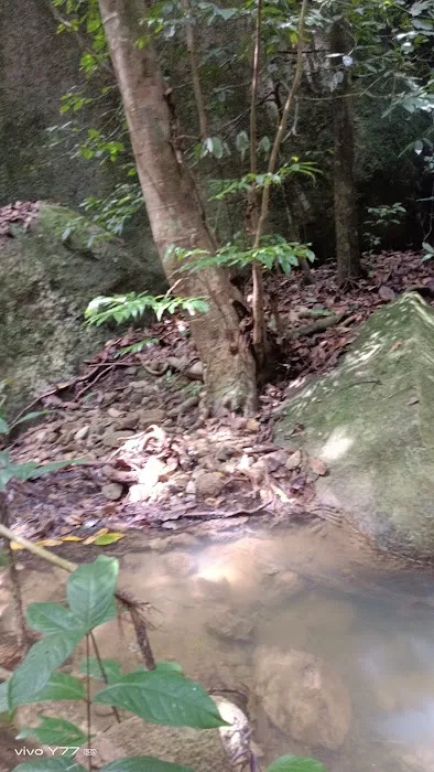 Port Stream Camping Picture 9