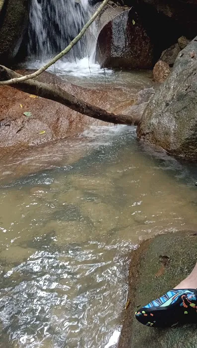 Port Stream Camping Picture 6