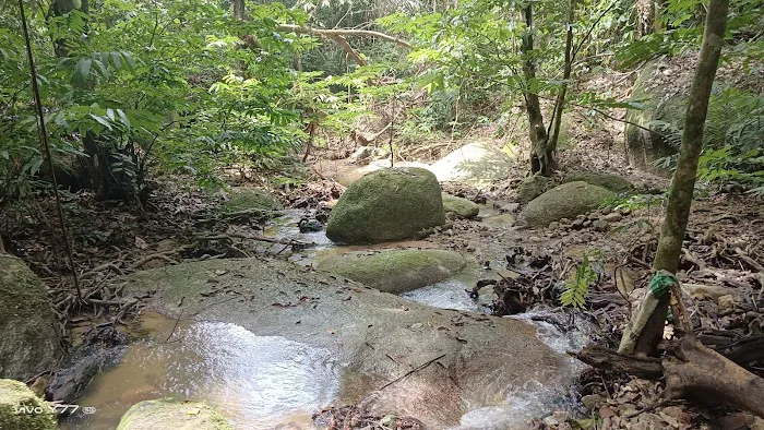 Port Stream Camping Picture 8