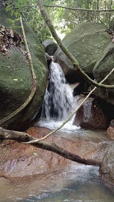 Port Stream Camping Picture 7