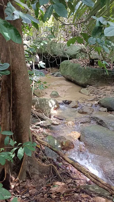 Port Stream Camping Picture 1