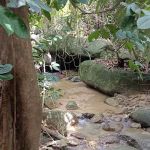 Port Stream Camping