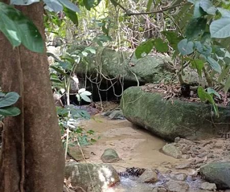Port Stream Camping