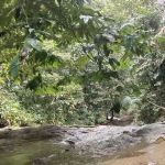 Air Terjun Mini Tontong