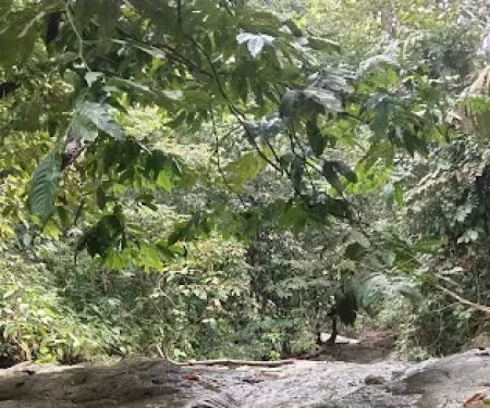 Air Terjun Mini Tontong