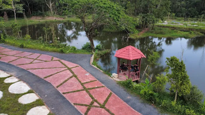 Taman Wetland Paya Gelam Pasir Mas Picture 4