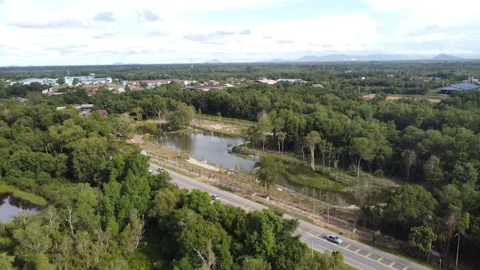 Taman Wetland Paya Gelam Pasir Mas Picture 1