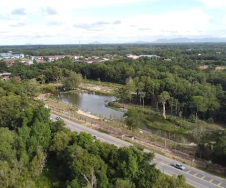 Taman Wetland Paya Gelam Pasir Mas