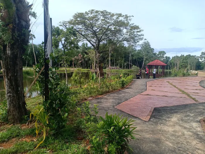 Taman Wetland Paya Gelam Pasir Mas Picture 5